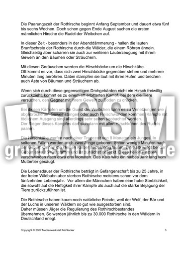 Rothirsch-Rotwild-Text-3.pdf